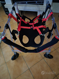 Carrello per cane tetraplegico femmina