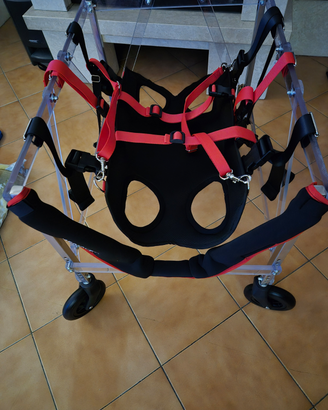 Carrello per cane tetraplegico femmina