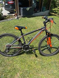Bicicletta Bambino