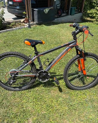 Bicicletta Bambino