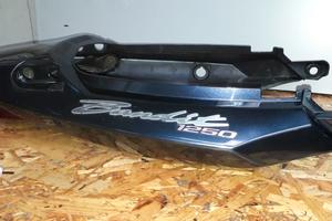 codone fanale posteriore SUZUKI BANDIT 1250