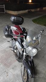 Guzzi Breva 1100