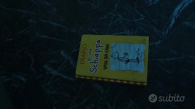 Libro Diario di Una schiappa