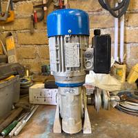 Motore con motoriduttore