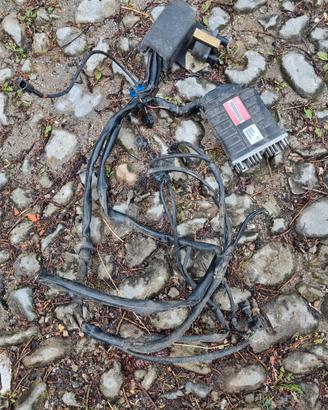 centralina cablaggio iniezione fiat uno 1000 fire