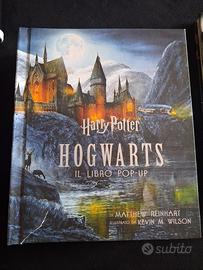 Libro Harry Potter 