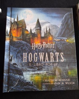 Libro Harry Potter 