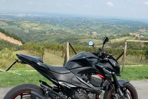 Kawasaki Z800 ABS 2014