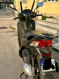 SH 300 SPORT CON ASS