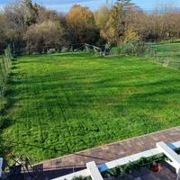 Giardini/Giardinaggio