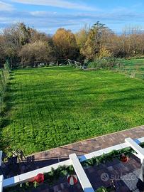 Giardini/Giardinaggio