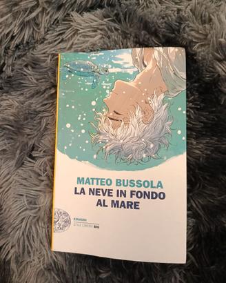 La neve in fondo al mare di Matteo Bussola