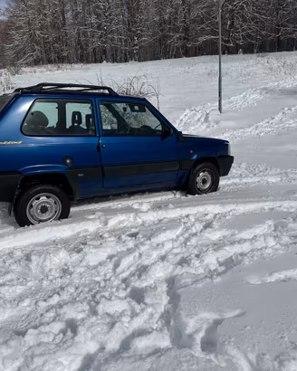 Panda 4x4 trekking