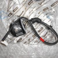 Fanalino targa beverly