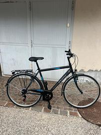 Bicicletta sticchi freemont