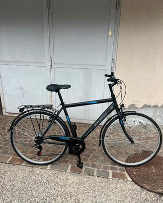 Bicicletta sticchi freemont