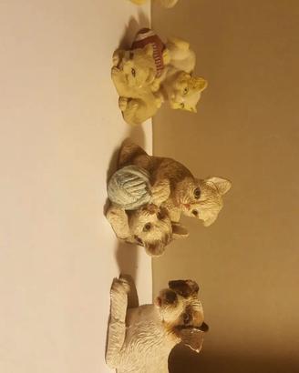 Miniature cane e gatti. 