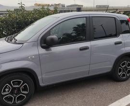 Fiat Panda Hybride NO BOLLO