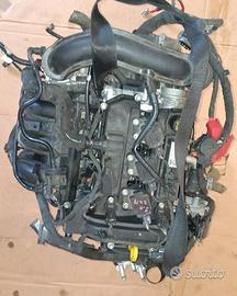 Motore Ford Fiesta 1.1 B 2018 Sigla XPJD