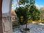 Immagine 20