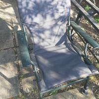 poltroncina carp fisch