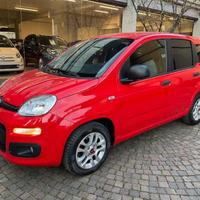 FIAT Panda 1.2 Red Passion