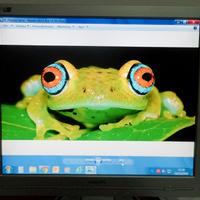 Monitor lcd Philips 17"