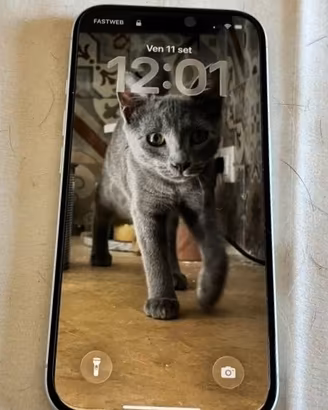 iPhone 16 128GB Bianco - Garanzia  2027 -🔋100%