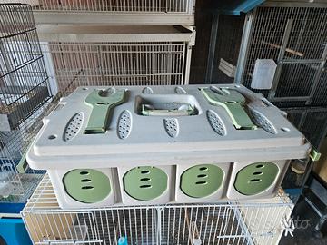 trasportini e ggabbie