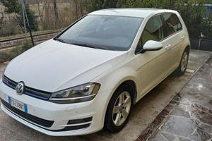 GOLF TGI DSG EXECUTIVE