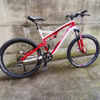 MTB Specialized