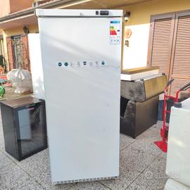 Frigorifero professionale 487 lt
