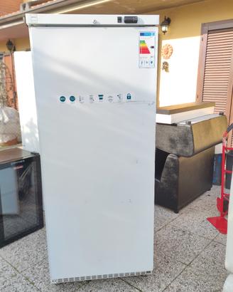 Frigorifero professionale 487 lt