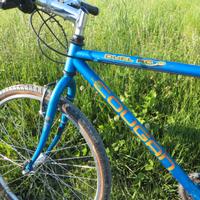 bici MTB Lee Cougan Duel RC 26"