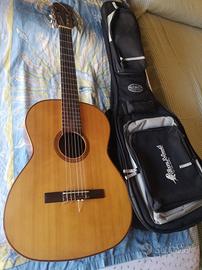 chitarra Giannini 