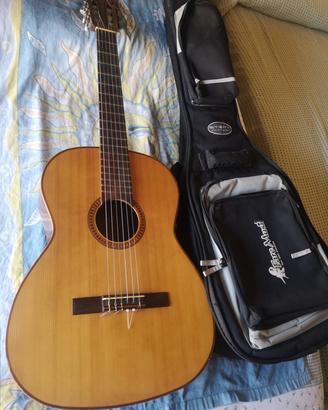 chitarra Giannini 