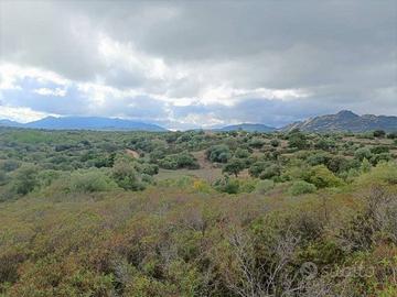 Terreno di 65000 m² a Telti
