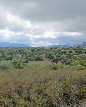 Terreno di 65000 m² a Telti
