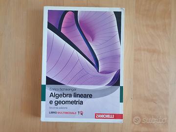 Algebra lineare e geometria - Schlesinger