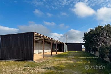 BOX A CAMPOMARINO