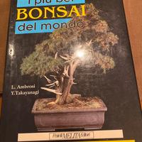 I piu bei bonsai del mondo