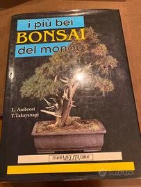 I piu bei bonsai del mondo