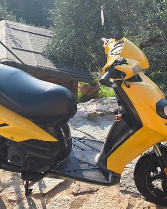 Typhoon 50cc 2014