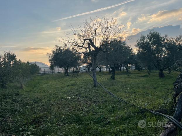 Terreno agricolo con manufatto