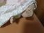 Immagine 3