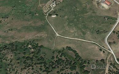 RGE 51/2021 Trib ENNA - LOTTO 4