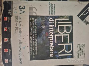 Liberi di interpretare 3A e 3B