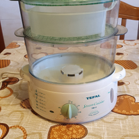 Vaporiera modello Tefal
