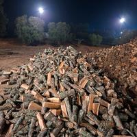 Legna da ardere quercia 