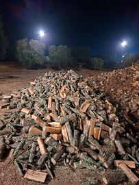 Legna da ardere quercia 